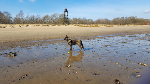 An der Weser