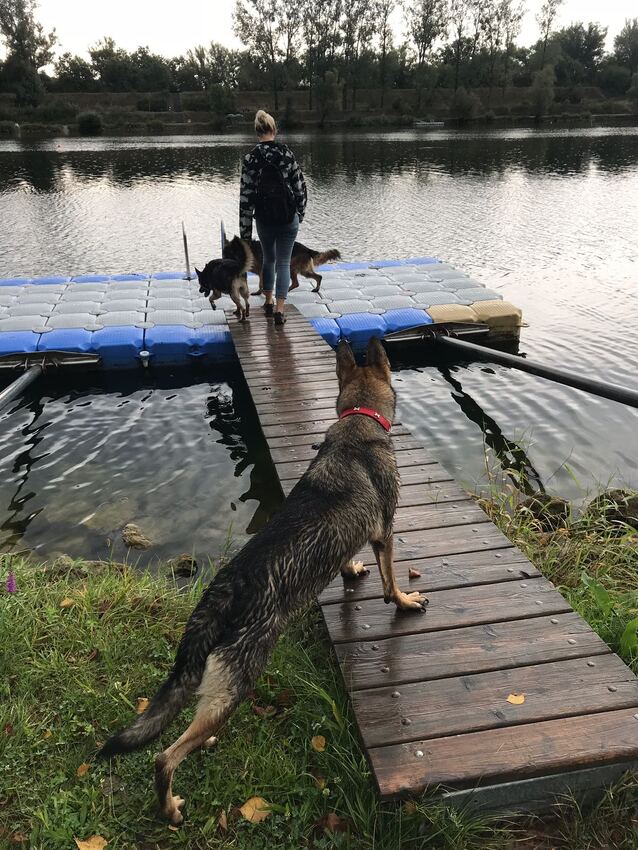 Die Roxy traut sich noch nicht