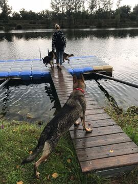 Die Roxy traut sich noch nicht