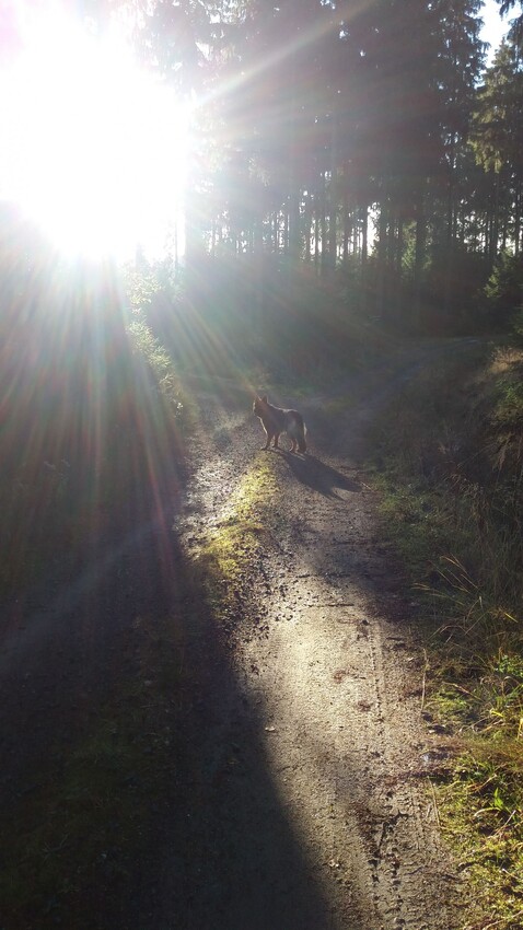 Die Sonne scheint nur für mich ... :)