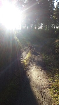 Die Sonne scheint nur für mich ... :)