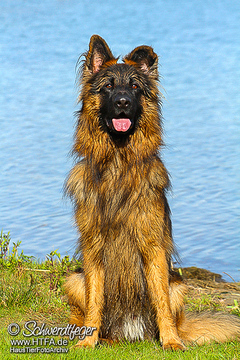 Barney Fotoshooting