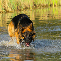 Barney Fotoshooting