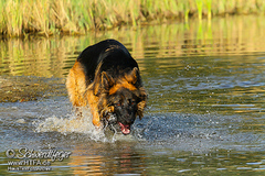 Barney Fotoshooting