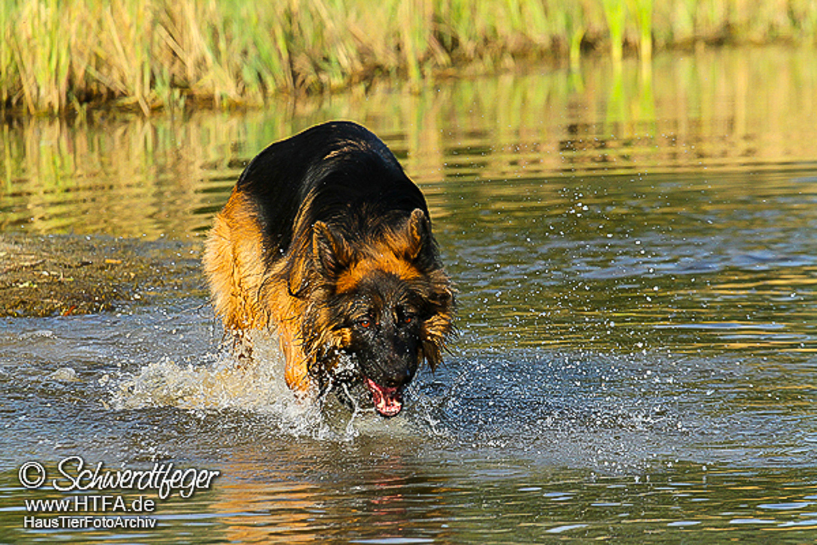 Barney Fotoshooting