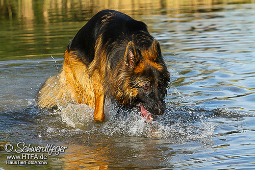 Barney Fotoshooting