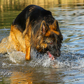 Barney Fotoshooting