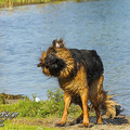 Barney Fotoshooting