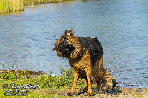 Barney Fotoshooting