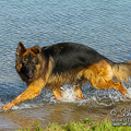 Barney Fotoshooting