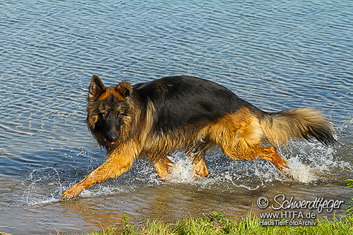 Barney Fotoshooting