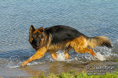 Barney Fotoshooting