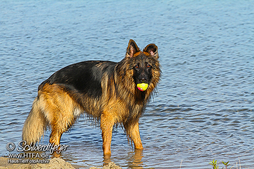 Barney Fotoshooting