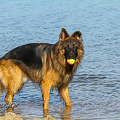 Barney Fotoshooting