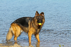 Barney Fotoshooting