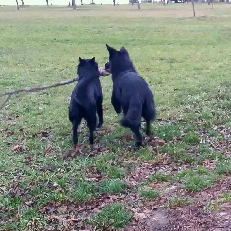 Braucht jemand Hilfe im Garten?  ;)