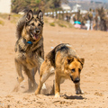 Kenny und Denna (und Candy)