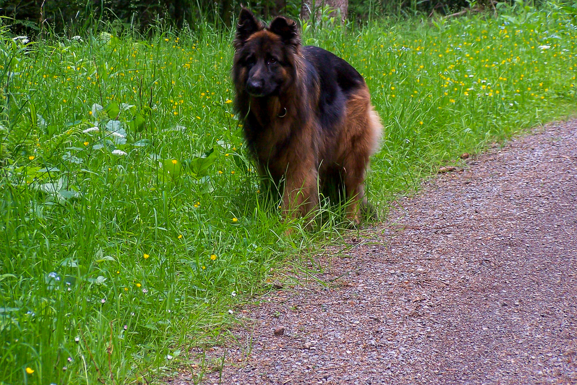 Urlaub Holzhau