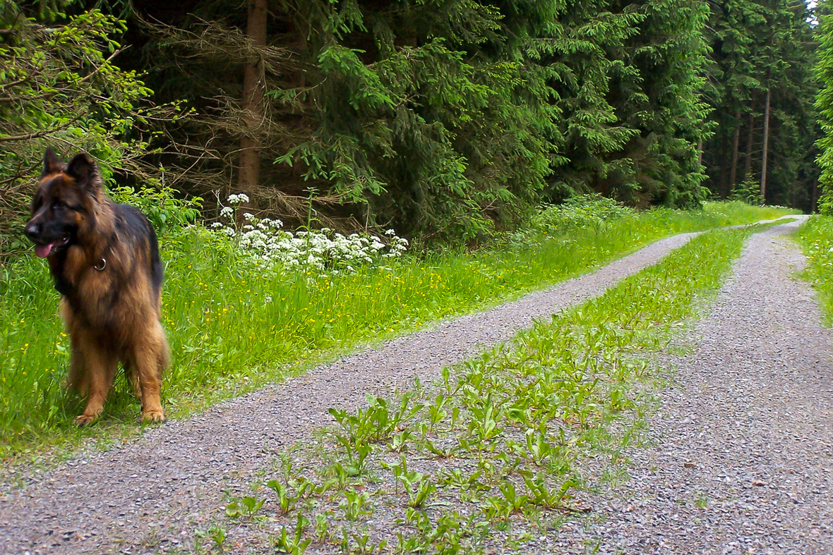 Urlaub Holzhau 2015