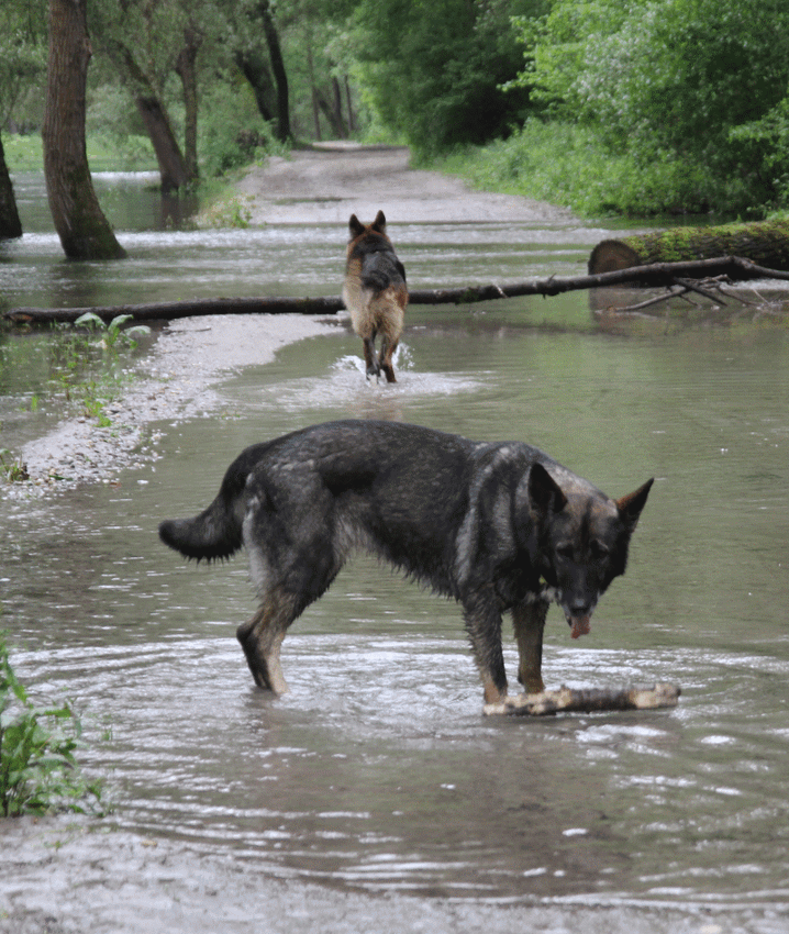 ein paar Regentropfen zuviel und schon war unser Wanderweg versperrt