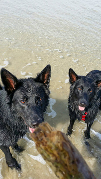 Dänemark Nordsee