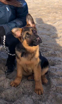 Der erste Strandspaziergang