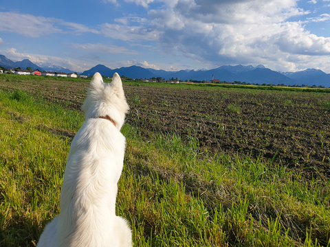 Coole aussicht^^