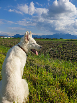 Coole aussicht^^