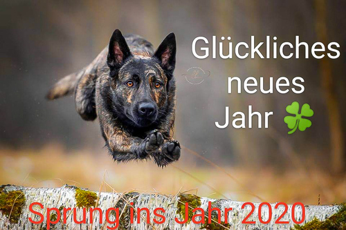 Sprung ins neue Jahr