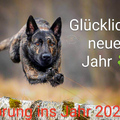 Sprung ins neue Jahr