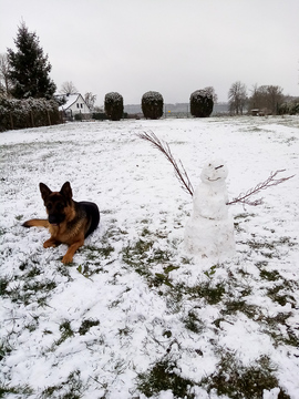 Der erste Schnee für Oscar