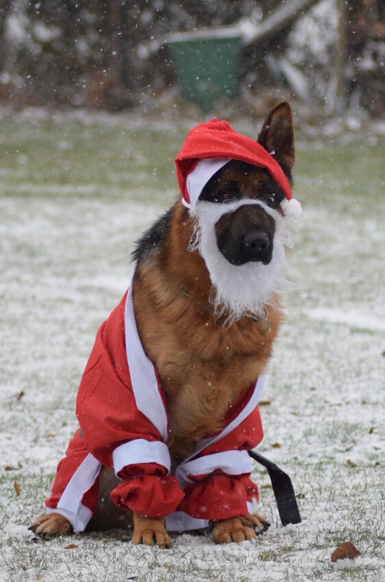 Unser Nikolaus