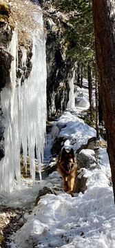 Boss und die Eiswand