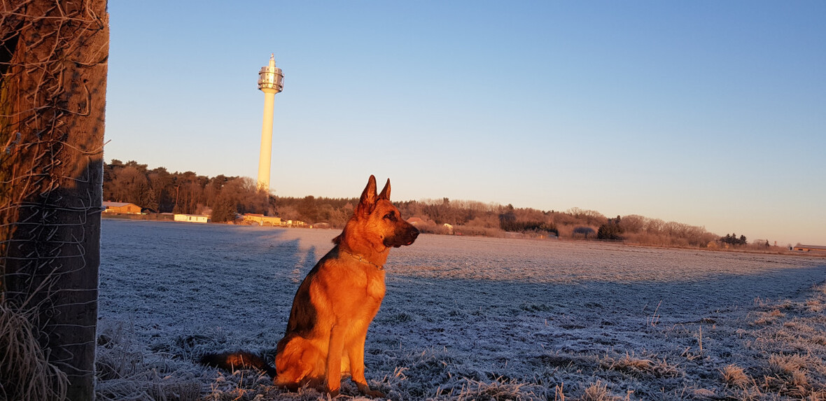 Sonnenaufgang bei -13 °C....