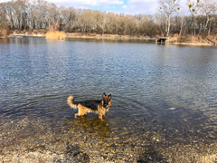 Oh jeeeeh, du hast gemeint NICHT ins Wasser gehen... Ich habe es wohl nicht so gehört ^^