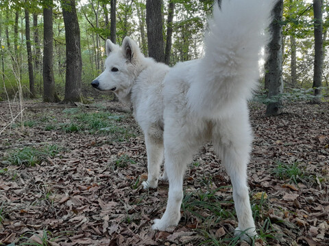 Yuriko und Freunde