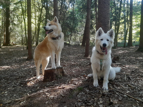 Yuriko und Freunde