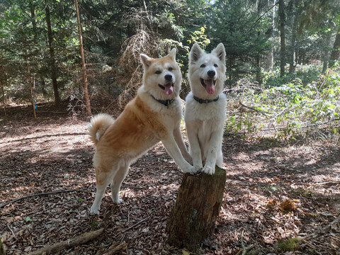 Yuriko und Freunde