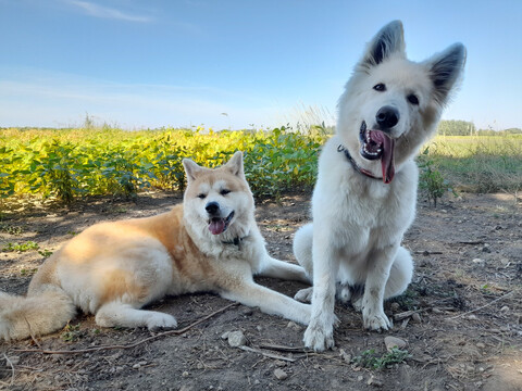 Yuriko und Freunde