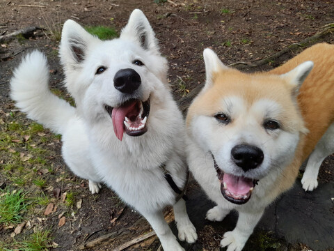 Yuriko und Freunde