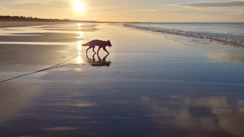 Carlas Strandurlaub