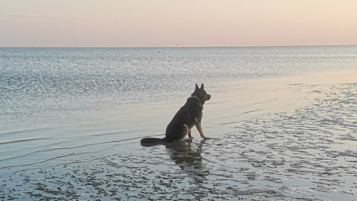 Harras und die Nordsee