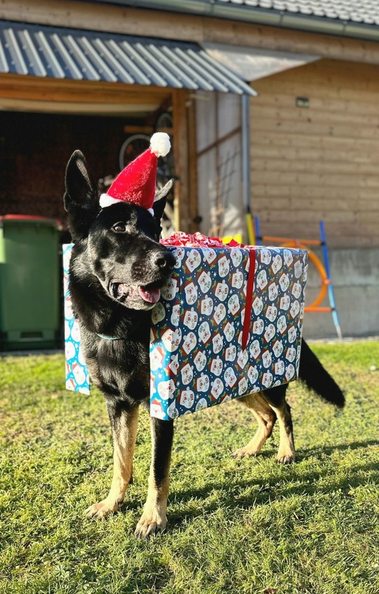 Ero als Weihnachtspäckchen