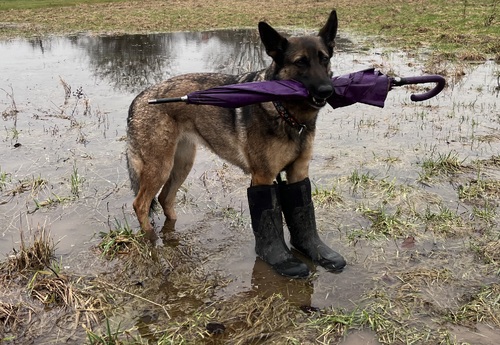 Lexy - Mission: dem Regenwetter trotzen