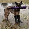 Lexy - Mission: dem Regenwetter trotzen