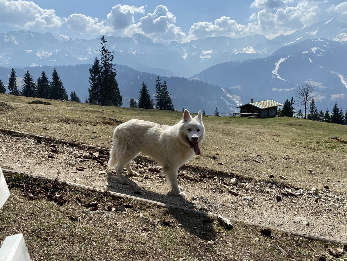 Bayern ist schön