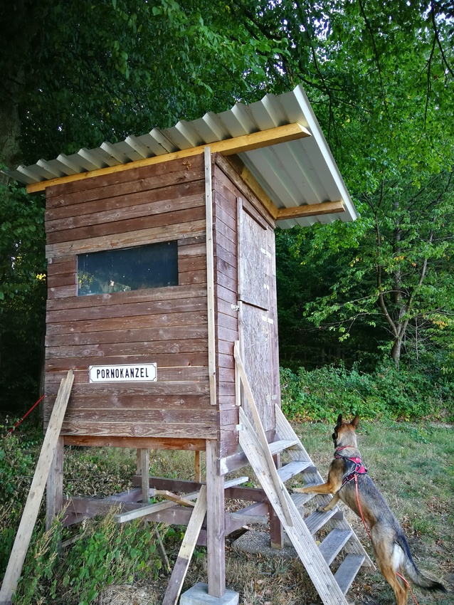 Lexy im Wald