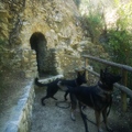 Axel & Alma im Wald vor der Höhle von Räuber Hotzenplötzchen