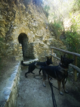 Axel & Alma im Wald vor der Höhle von Räuber Hotzenplötzchen