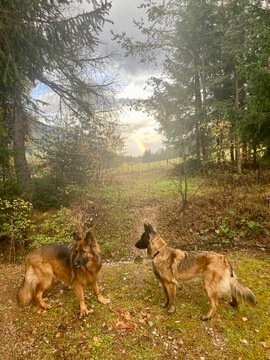 Boss und Ganja im Wald